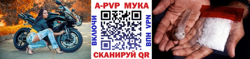 купить наркоту  Козельск  Alfa_PVP мука 