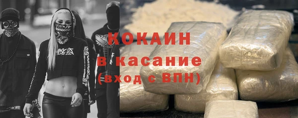 мдпв Новозыбков