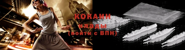 гидра Белоозёрский