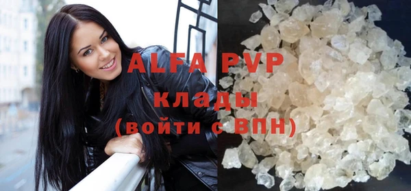 стафф Белокуриха