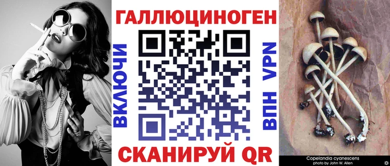 Псилоцибиновые грибы Psilocybine cubensis  дарнет шоп  Козельск 